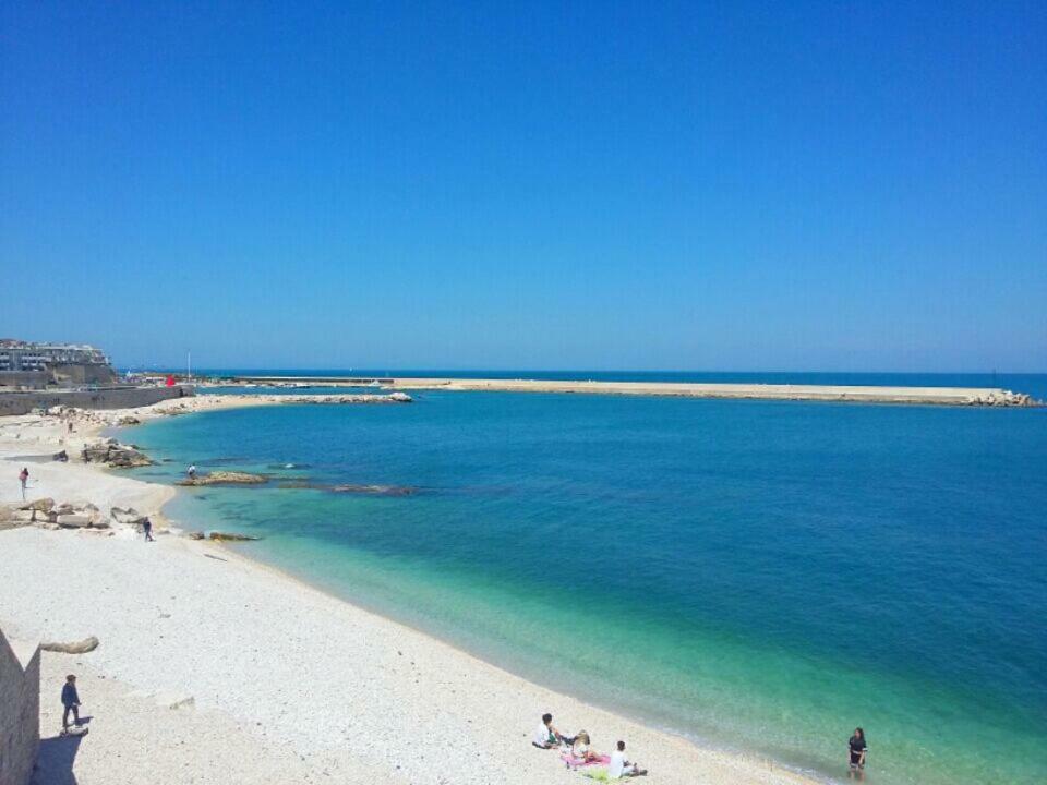 Casa Vacanze La Scalinata Bisceglie Exteriér fotografie